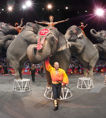 5 Weekend Musts: The Circus & More | Go Local Prov