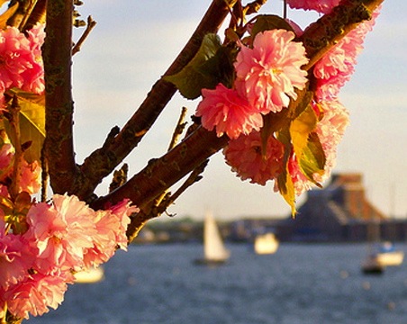 8 Ways to Welcome Spring | Go Local Prov